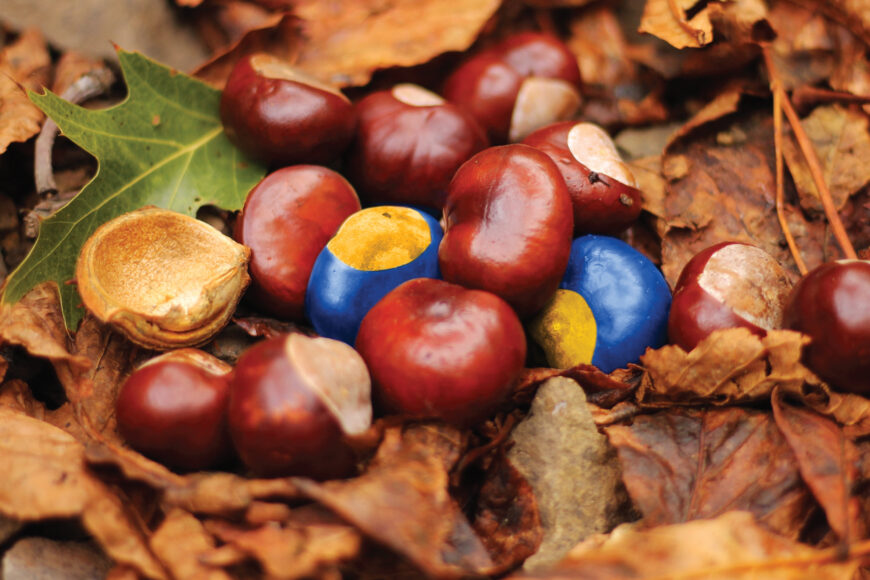 Get ready to order for autumn